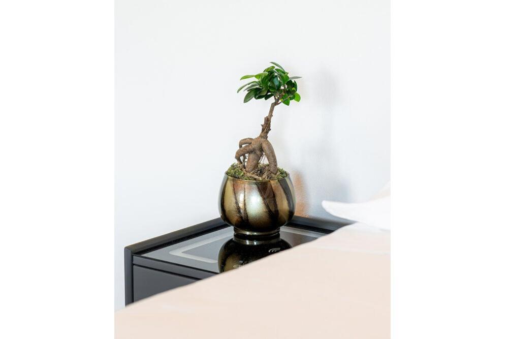Bes Residence Bergamo Polaresco Екстер'єр фото